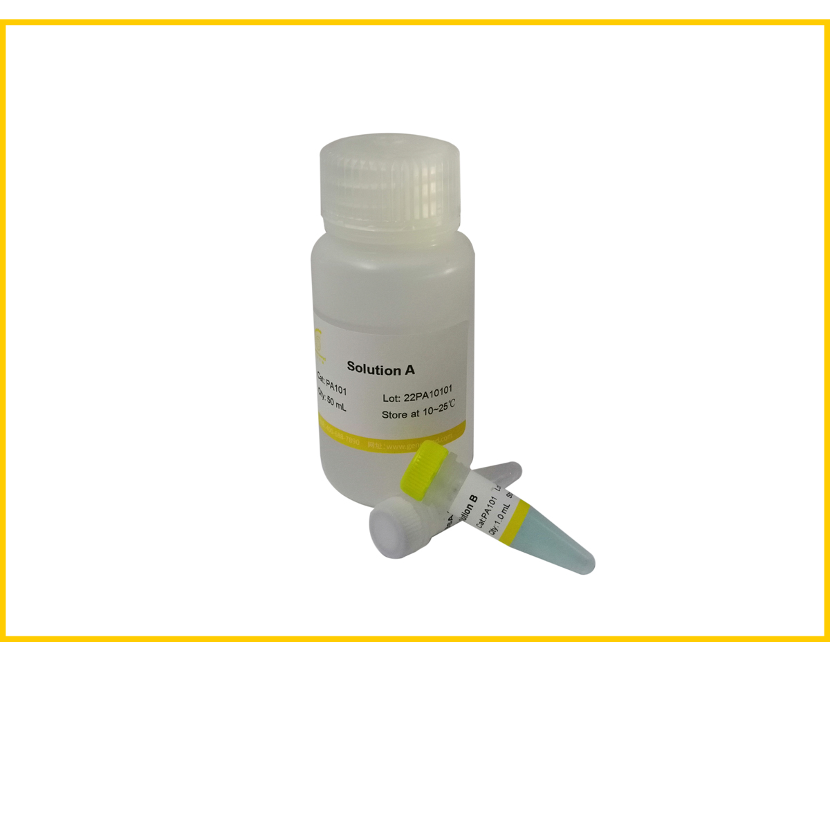BCA Protein Assay Kit (PA101)